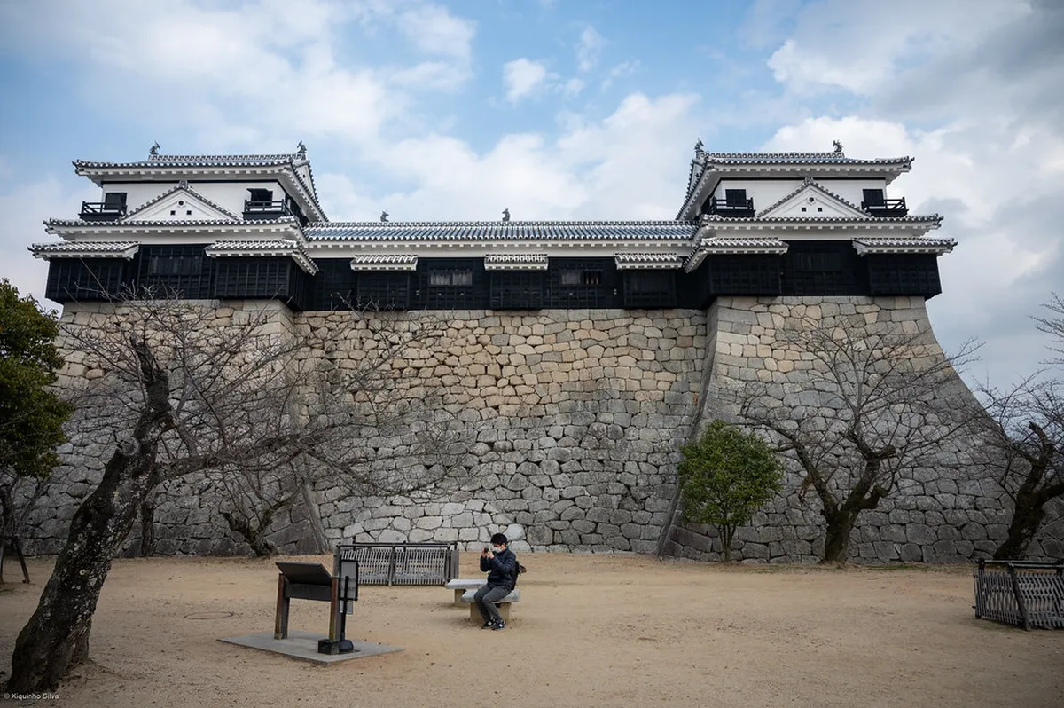 Troubleshooting Common Matsuyama Access Problems