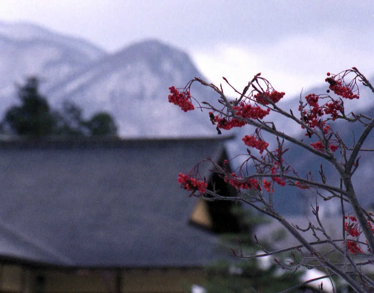 How to Get to Yamadera: Your Transport Options in Yamadera