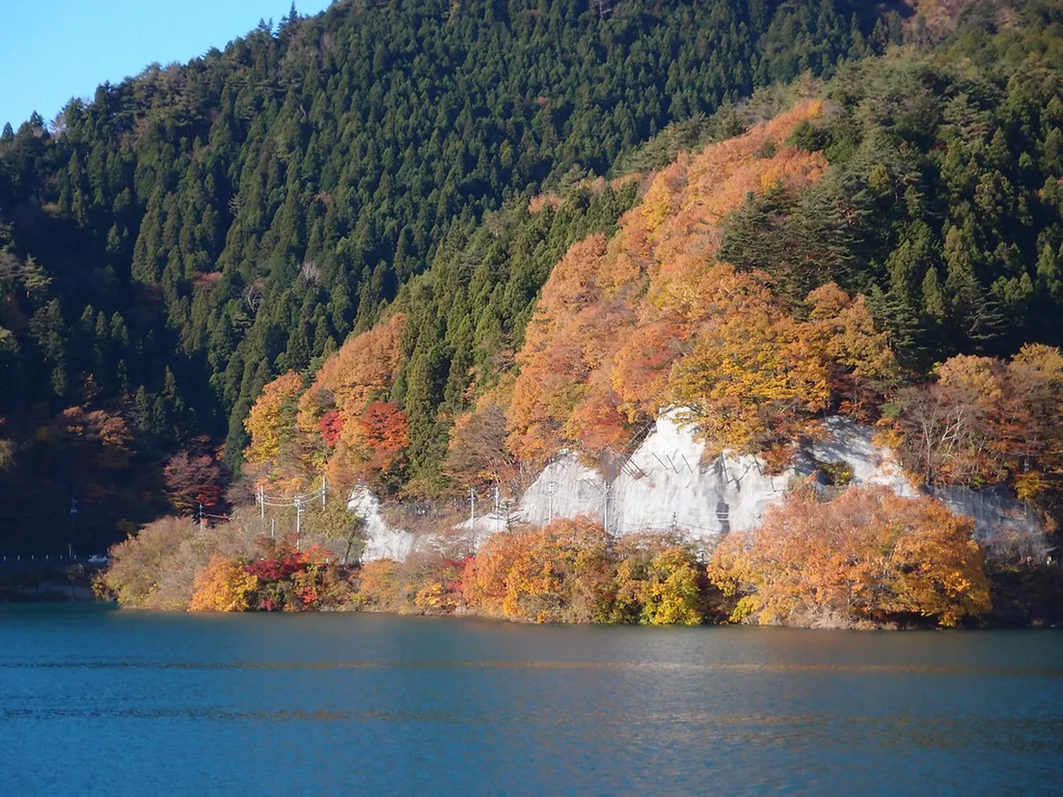 Vibrant autumn foliage on a Japanese mountain hiking trail, similar to the seasonal scenery on Mount Tsurumi in Beppu, Japan