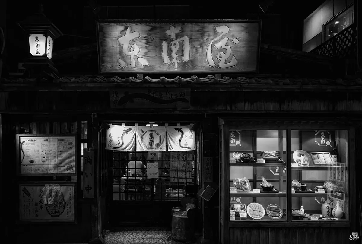 How to Choose an Illumination Day Trip in Tokyo