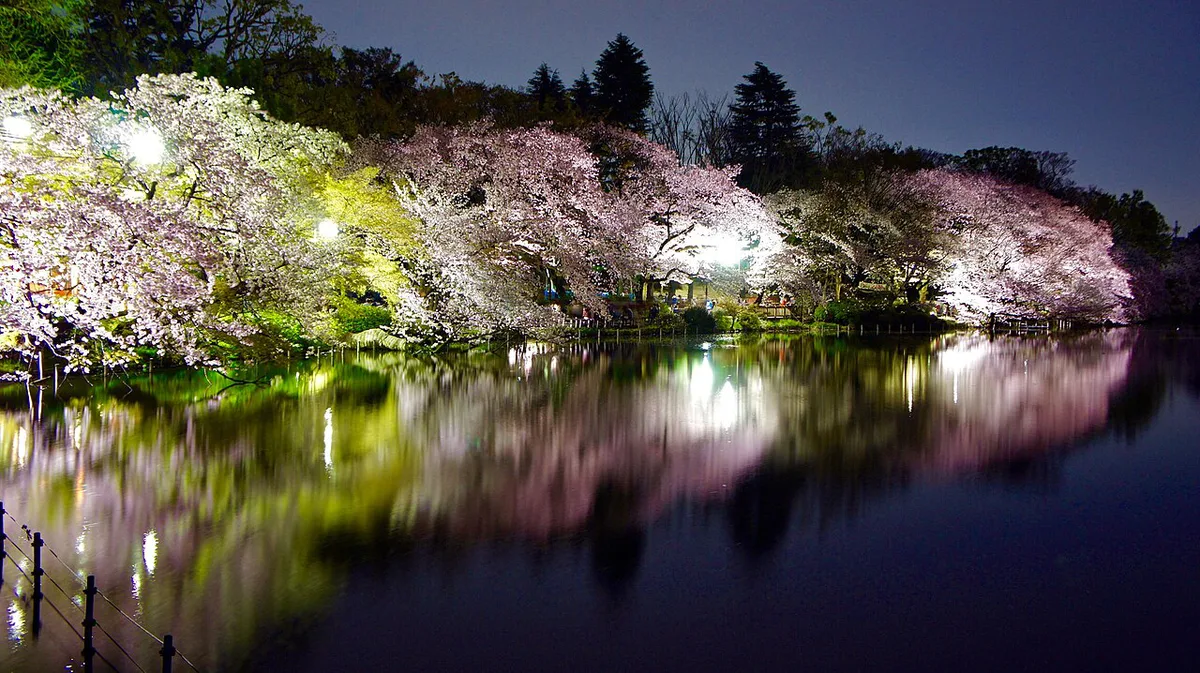Inokashira Park, Tokyo, Japan — 1