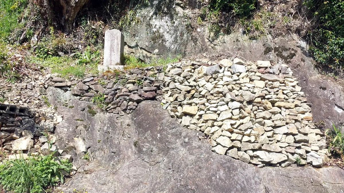 Mistakes to Avoid on the Ise-Shima Mochi Road