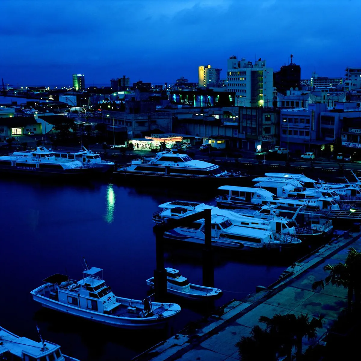 Getting to Ishigaki Seafood Restaurants: Airport, Port, and Bus Reality