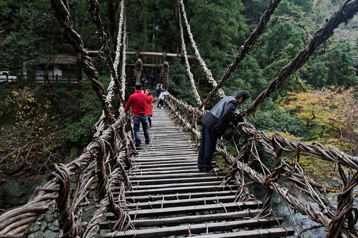 Iya Kazurabashi Vine Bridge