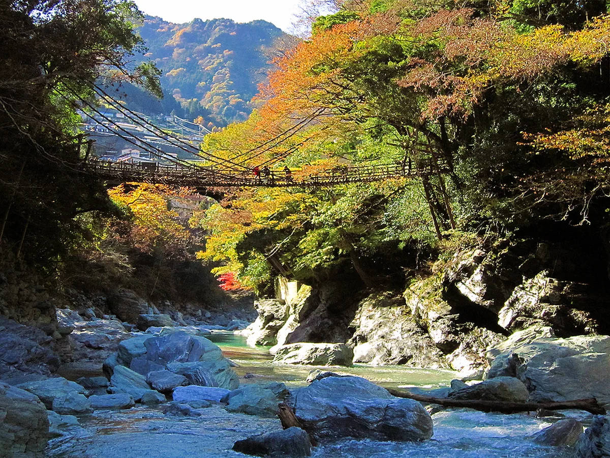 Kazura-bashi, Iya Valley 02.jpg