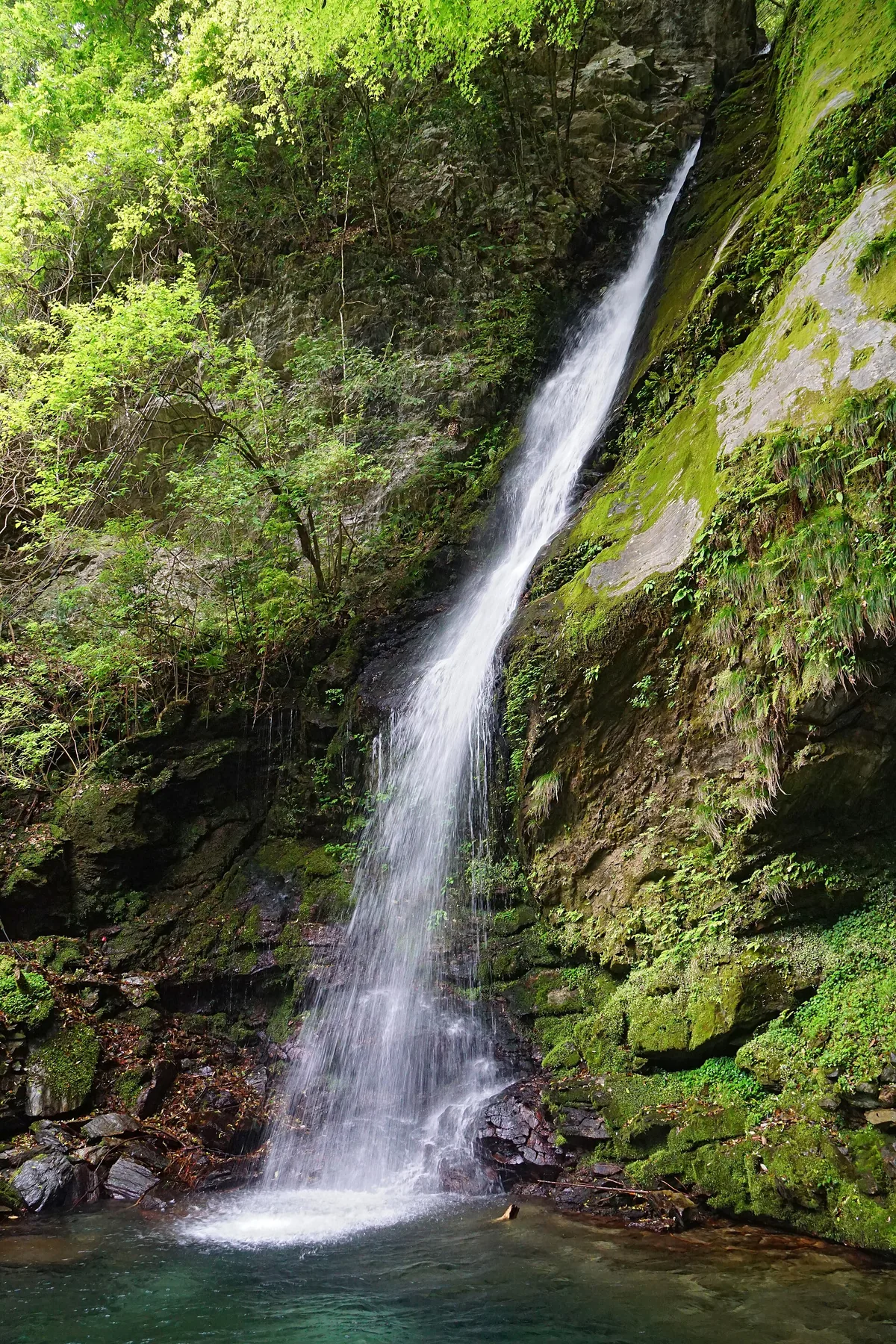 150503 Biwa Falls Iya Valley Miyoshi Tokushima pref Japan01s3.jpg