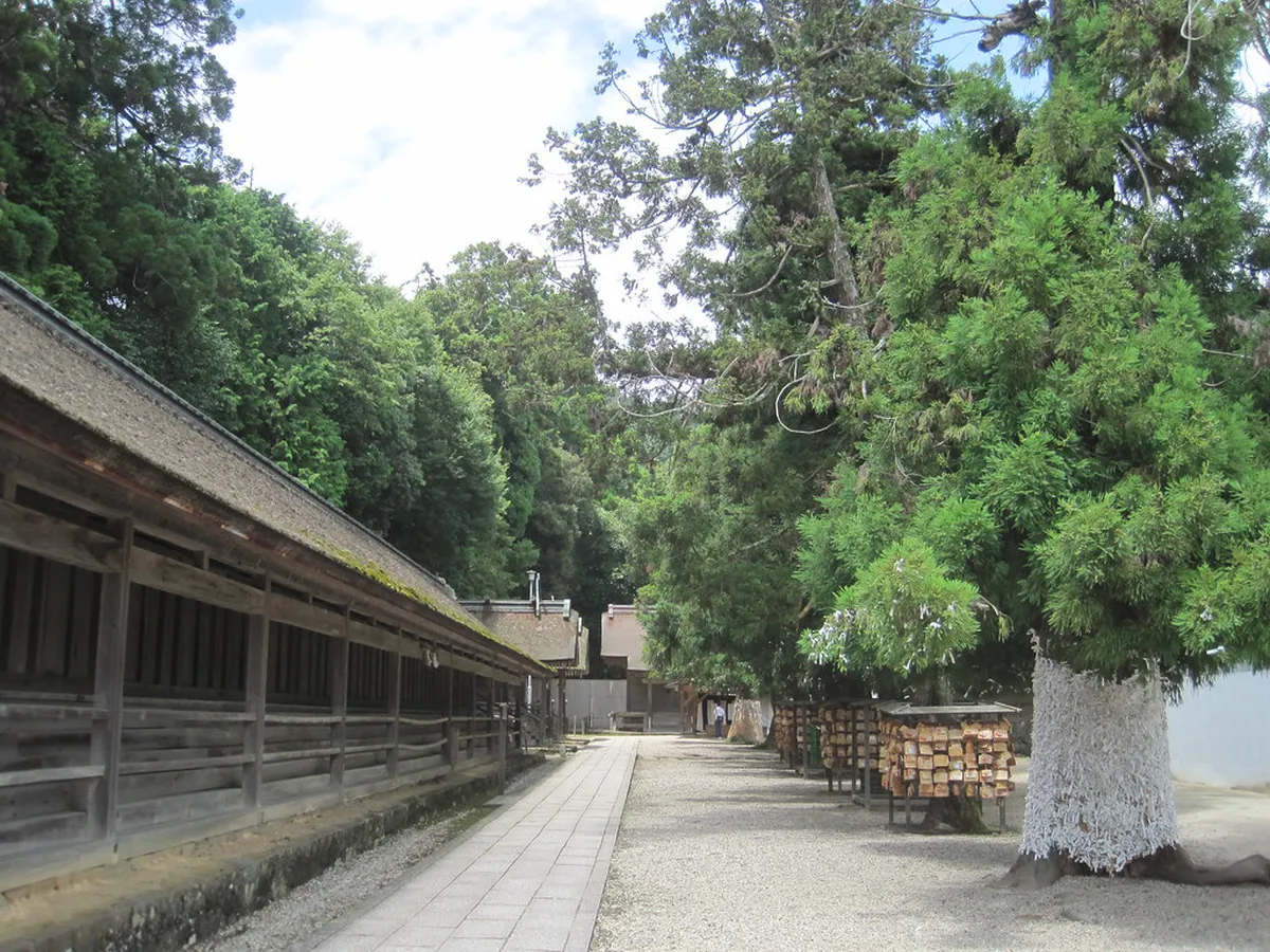 When to Visit Izumo Taisha: Crowds and Timing