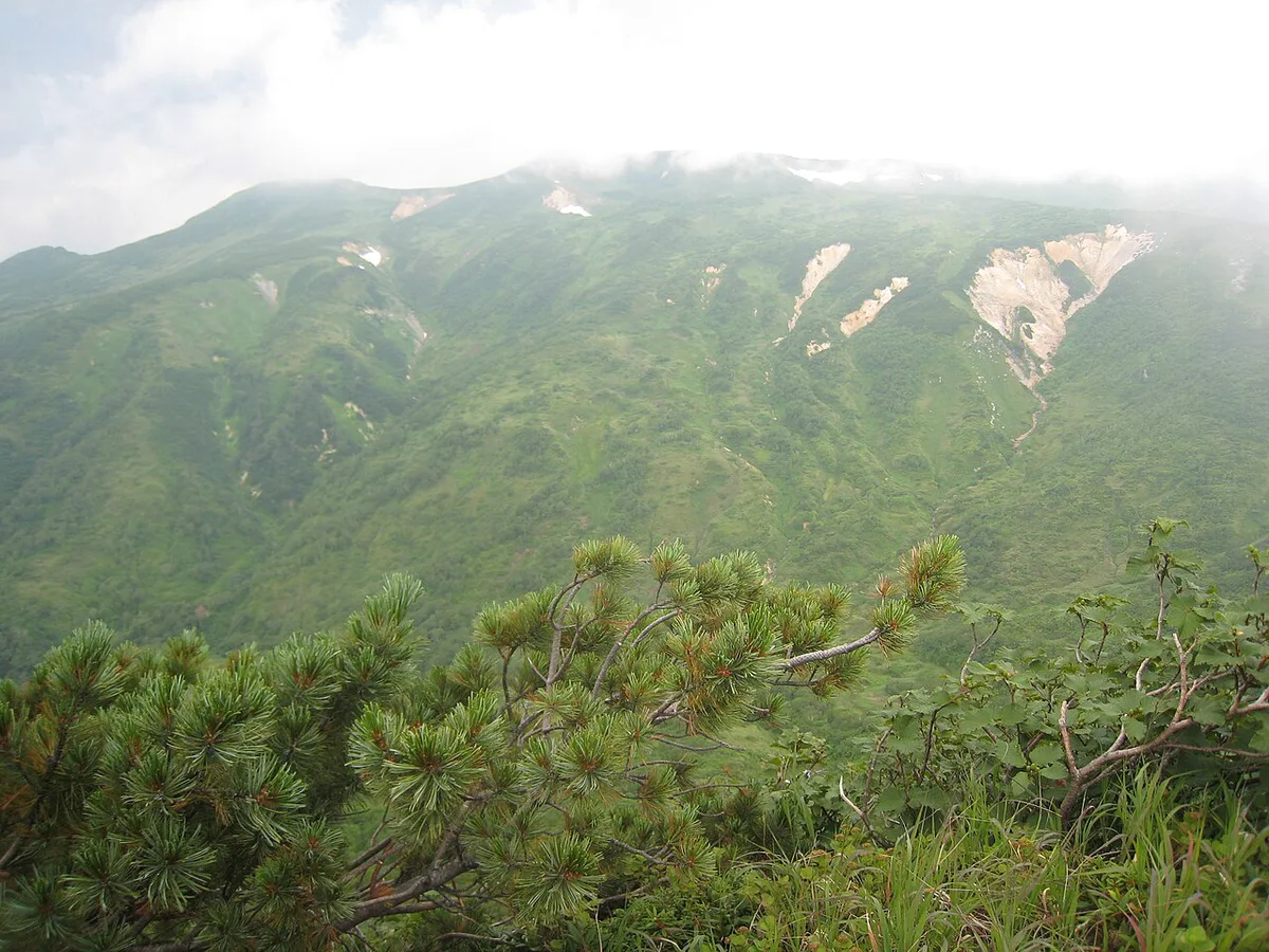 August 2009 Daisetsuzan three days of hiking towards the west starting from 白雲岳避難小屋 -84706 — 2