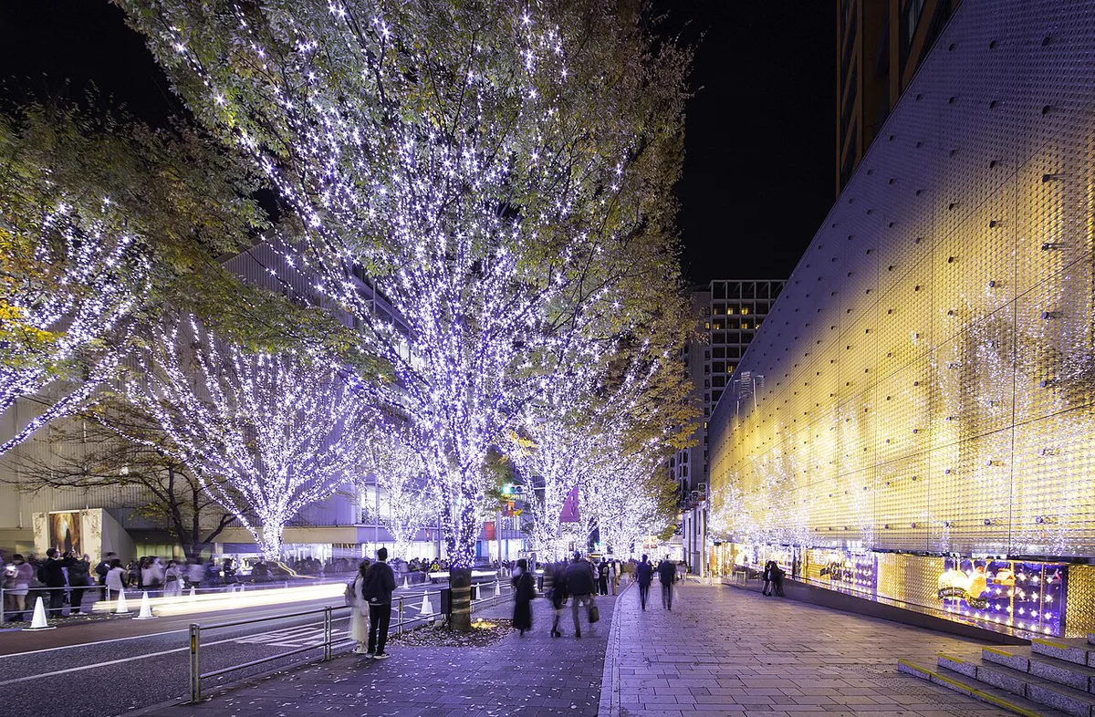 Winter illumination lights on trees in a Tokyo shopping district, Japan — 2