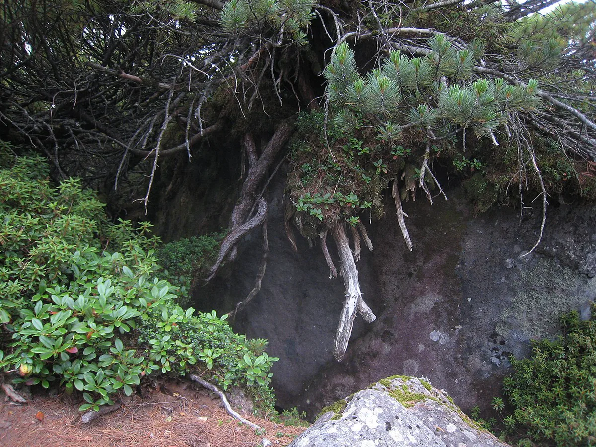 Boulders in Daisetsuzan — 1