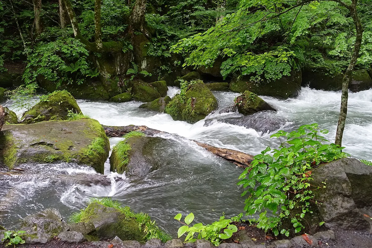 Oirase Mountain Stream - Towada Aomori - DSC01304 — 2