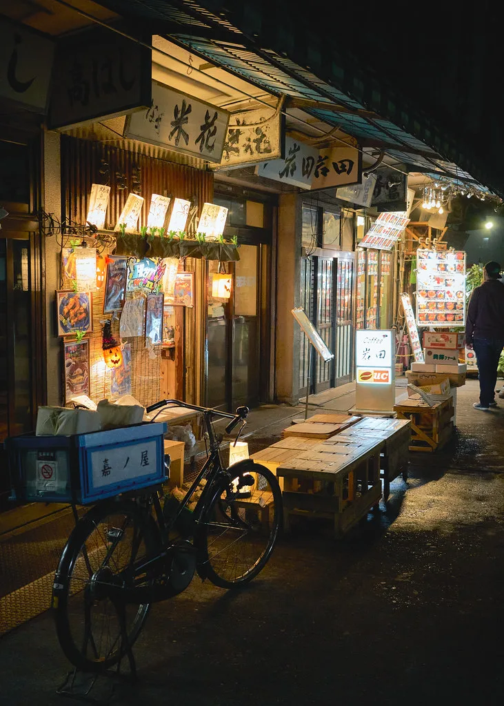 Japan On A Budget Trip Cost