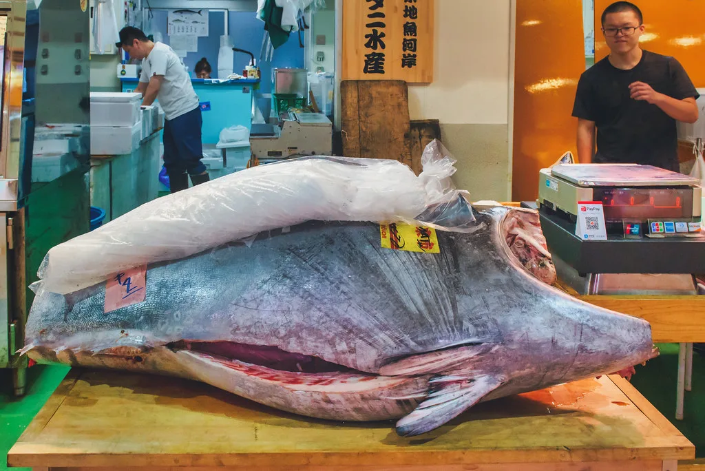 Japan On A Budget Trip Cost