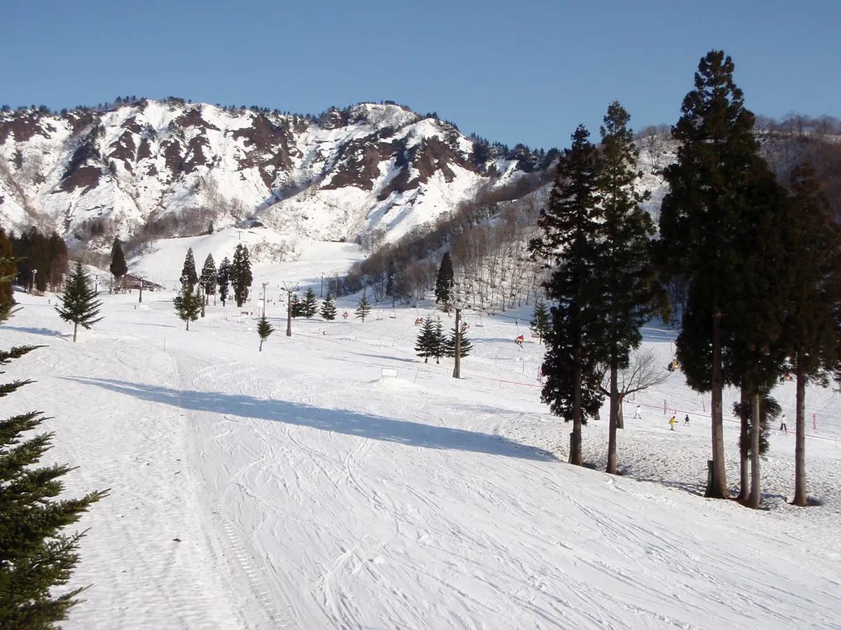 Budgeting a Japan Ski Trip: Passes, Lodging, and the Indy Pass