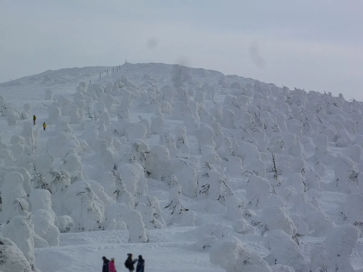 Mt.Zao(Mt.Jizo) Juhyo — 2
