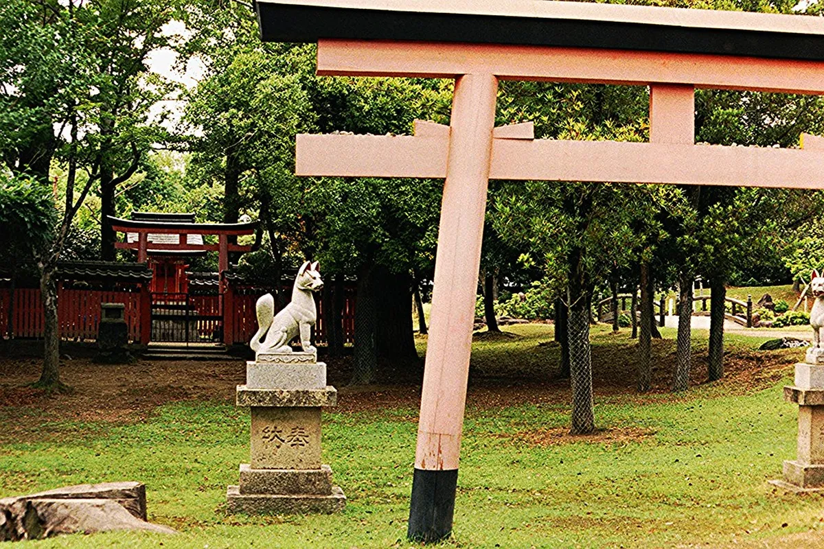 Mount Yoshino: Japan's Premier Cherry Blossom Destination — Nara, Japan