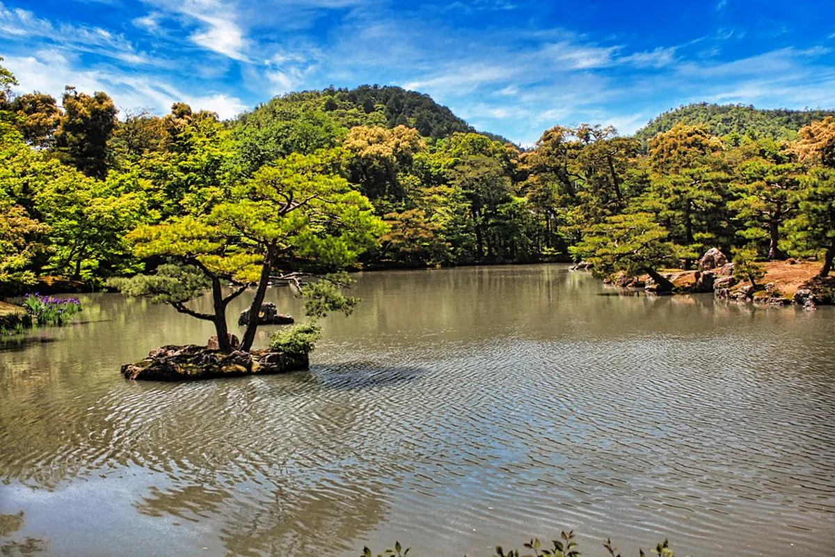 How to Get to Nara from Osaka or Kyoto — Nara, Japan