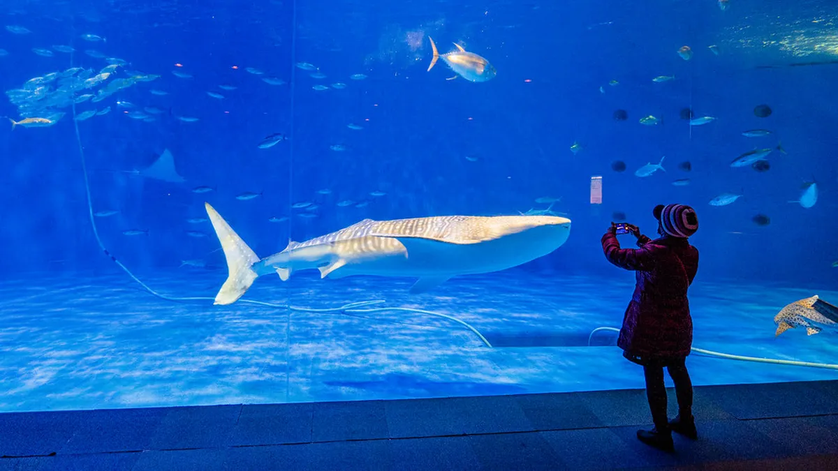 Kagoshima City Aquarium (Io World)