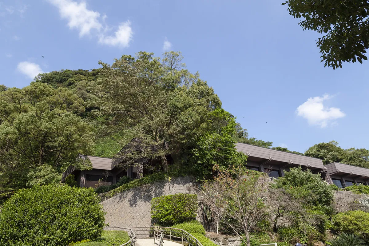 Sengan-en traditional Japanese garden with Sakurajima volcano in the background Kagoshima Japan
