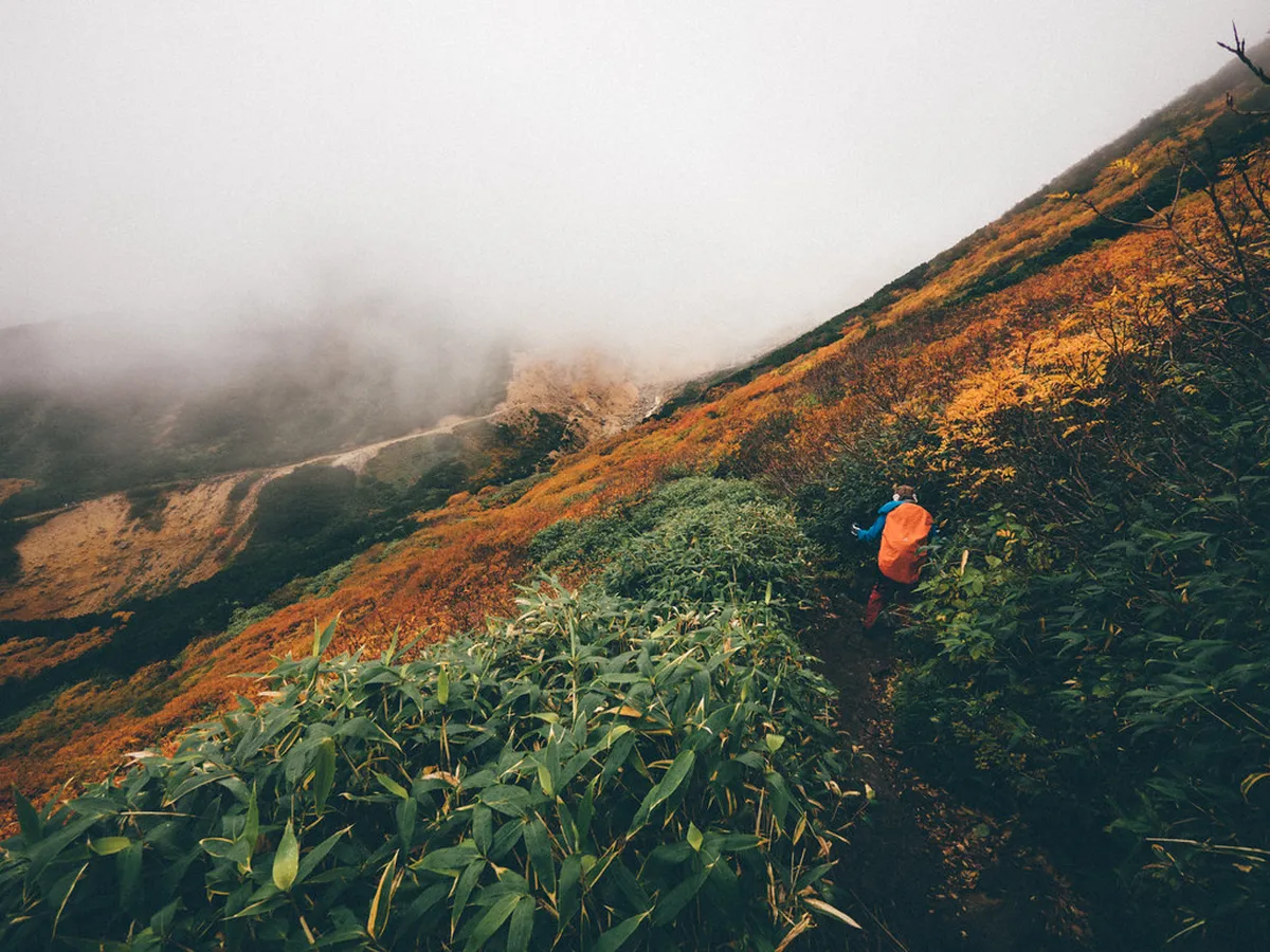 Mountain hiking trail through dense forest in Japan with rocky terrain offering panoramic views from the ridge
