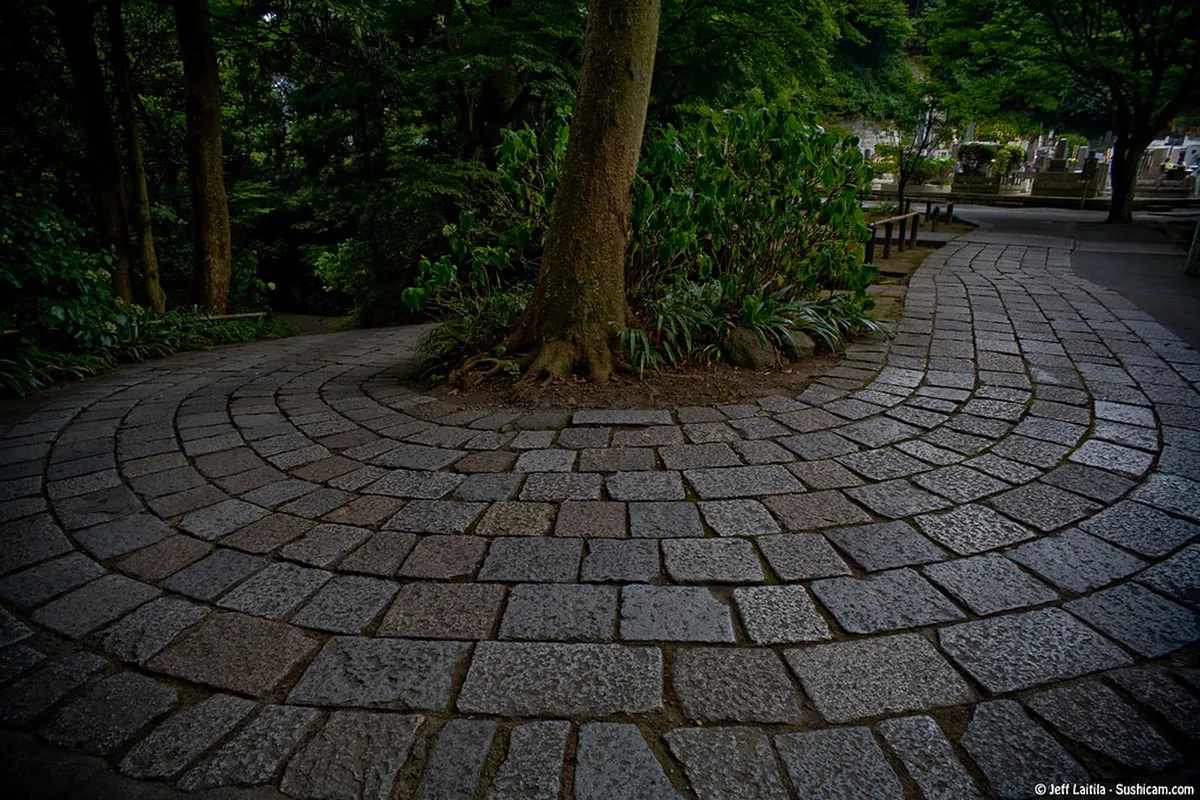 4. Experience Live Music at a Local Venue in Kamakura, Japan