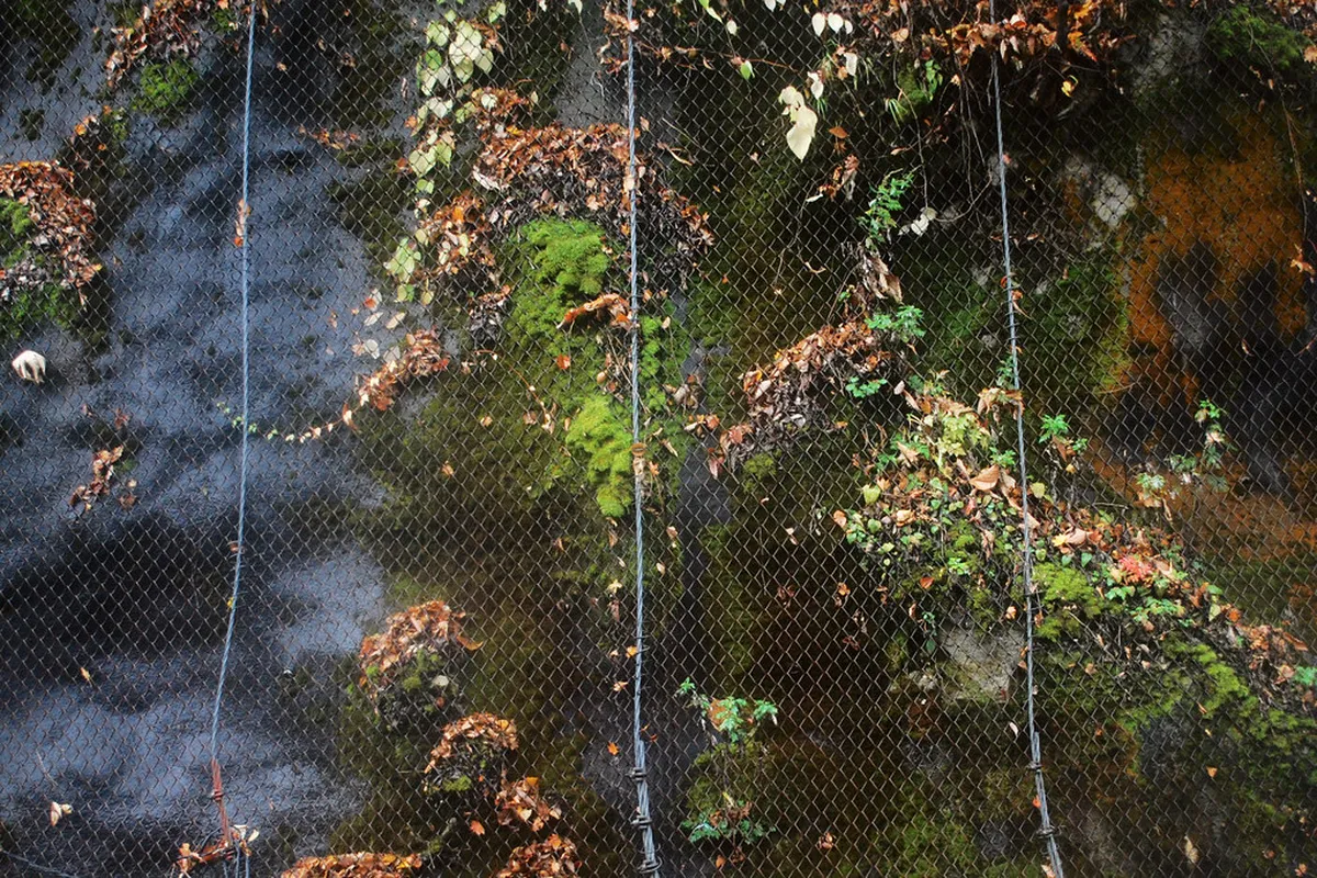 A Full Day of Safe Eating in Kamikochi — a scene in Kamikochi