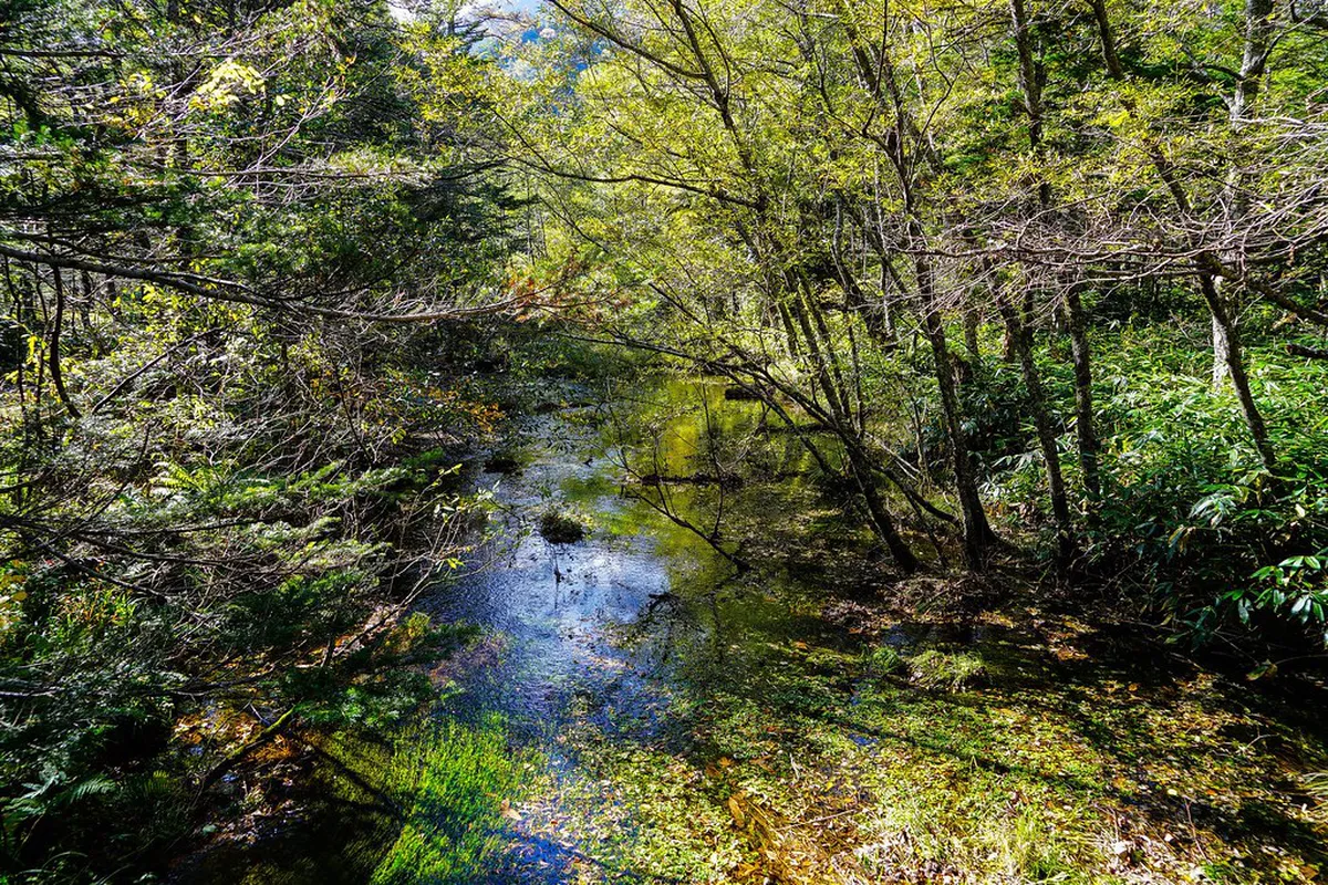What to Expect on Kamikochi Hiking Trails