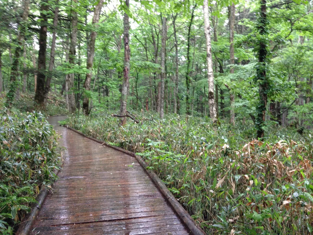 Footpath from Kamikochi bus terminus to Kamikochi Imperial Hotel