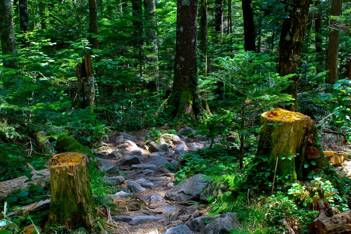 Kamikochi