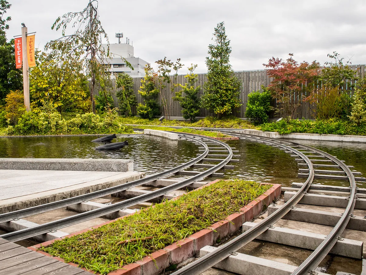 Peaceful tree-lined park area near Beppu, Japan, offering a green retreat from the geothermal sightseeing district