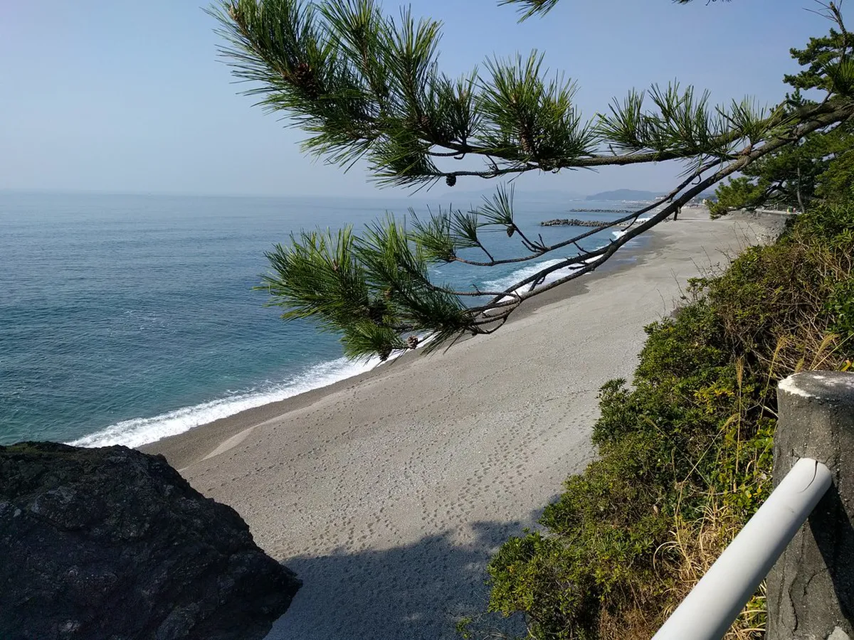 What Is Katsurahama Beach? — a scene in Kochi