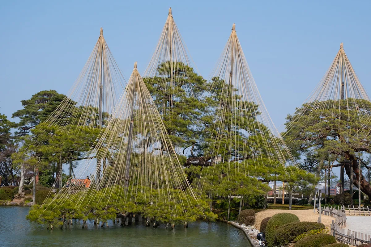 The famous yukitsuri rope supports fanning out from Karasaki Pine in Kenrokuen Garden during Kanazawa's winter season