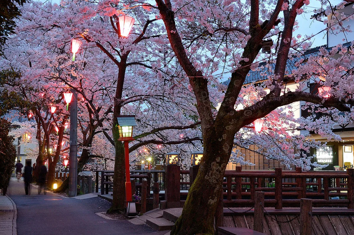 Kinosaki Onsen day trip from Kyoto — 2