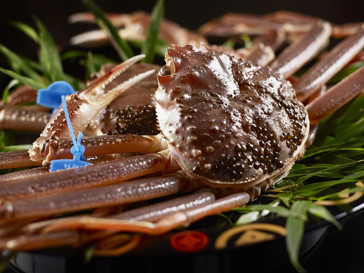 Kinosaki winter snow crab kani kaiseki — 1