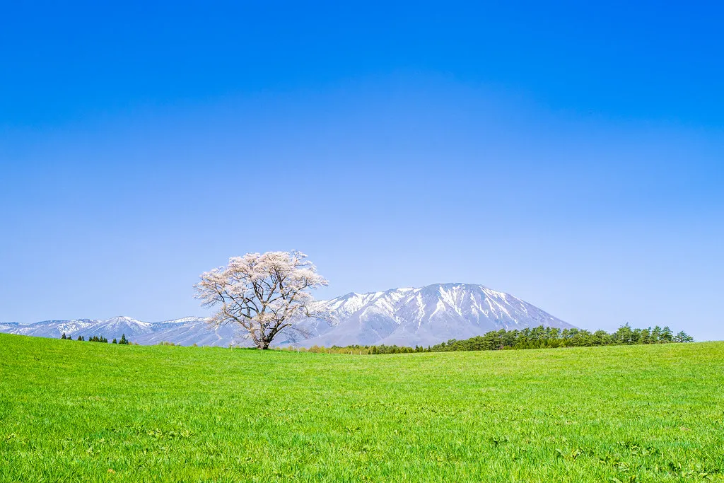 Koiwai Farm Iwate — Morioka, Japan