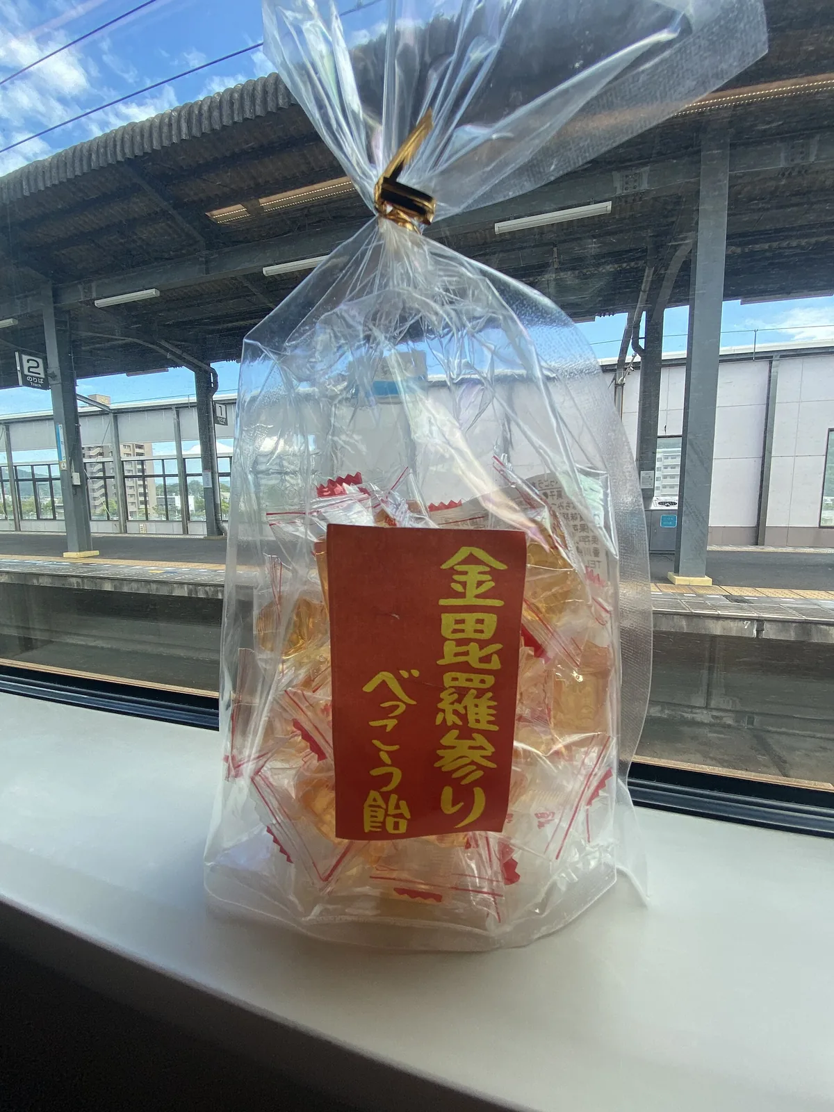 Bekko Ame in train.jpg