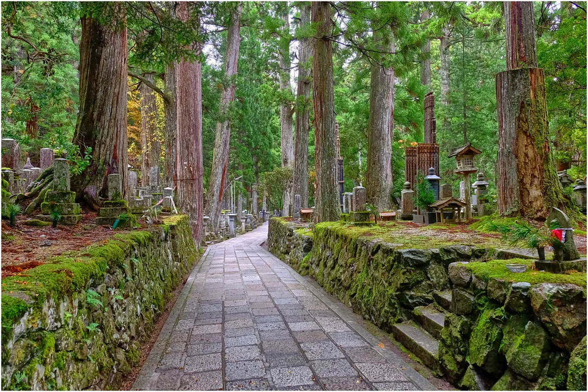 Buying Tofu Souvenirs: What Travels and What Doesn't in Koyasan