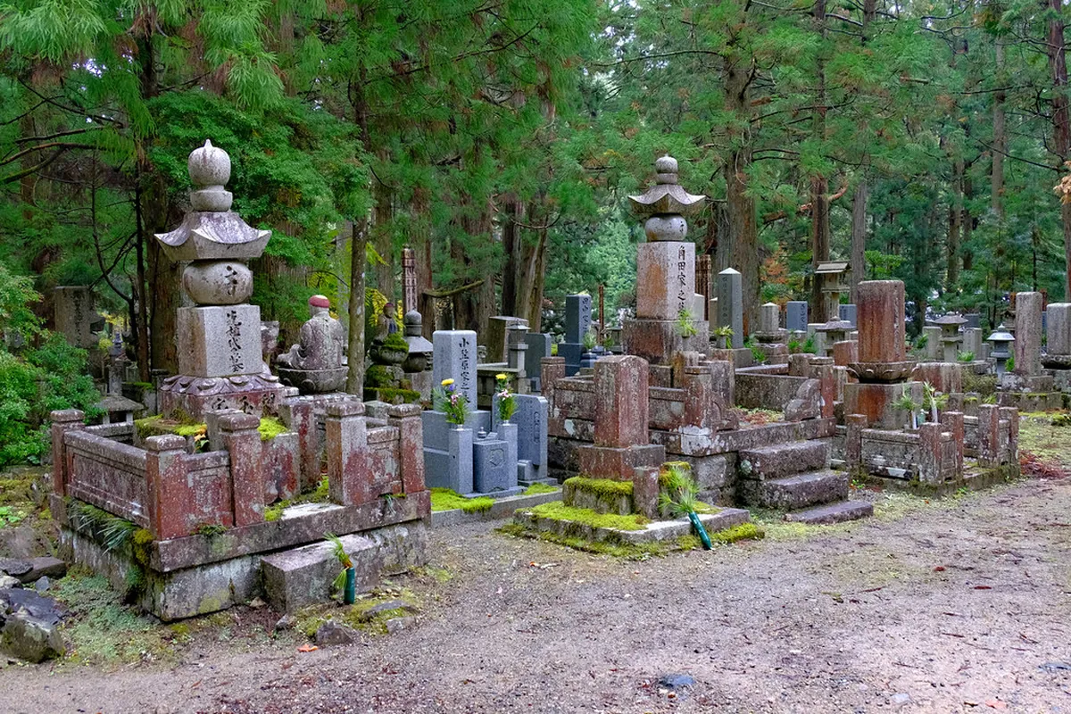 Where to Eat Each One in Koyasan — a scene in Koyasan