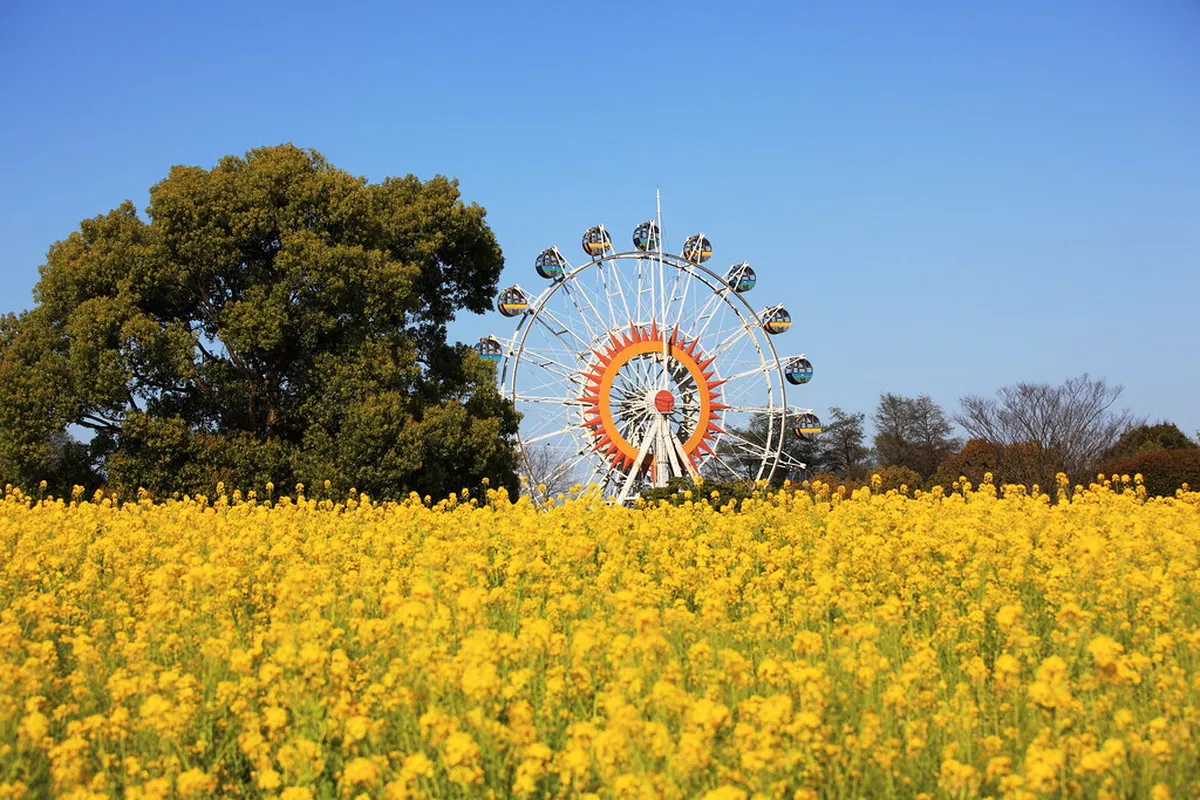 Kumamoto City Zoo and Botanical Gardens