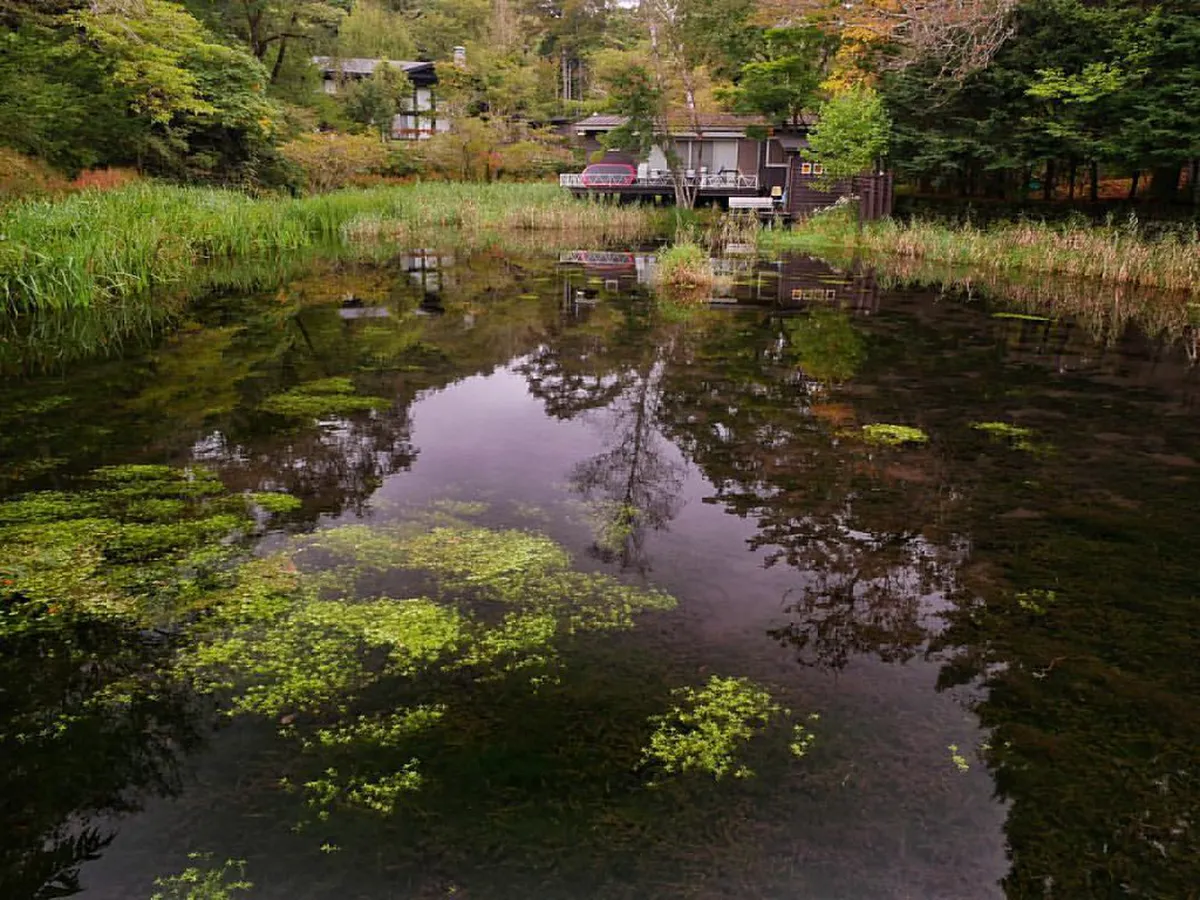 Walk around Kumoba Pond — Karuizawa