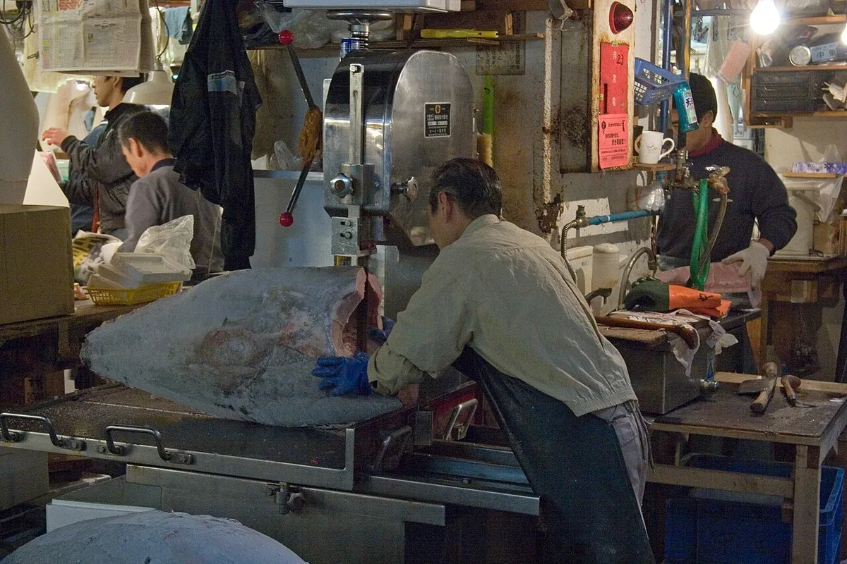 Kuroshio Market Wakayama tuna show — 3