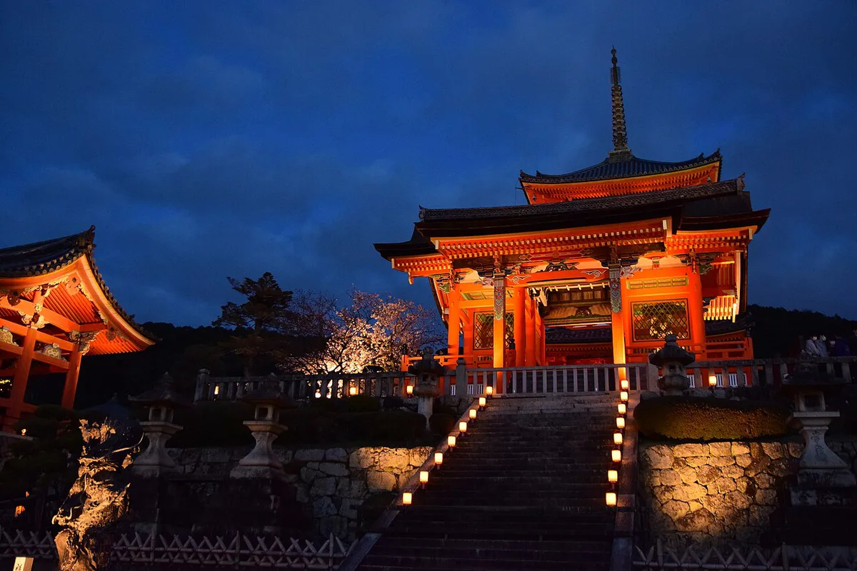 Kiyomizu-dera sakura light-up (51472868886) — 1