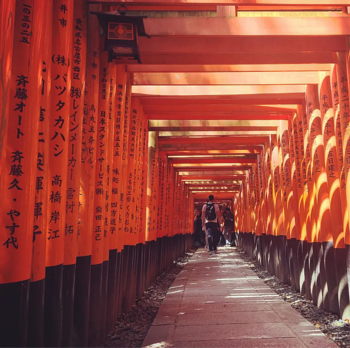 Densely packed vermillion torii gates creating a vivid tunnel along the hillside path of Fushimi Inari Shrine in Kyoto, Japan
