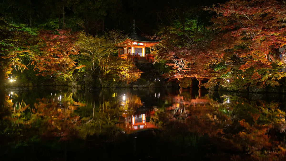 The 2026 Kyoto Autumn Illumination Forecast