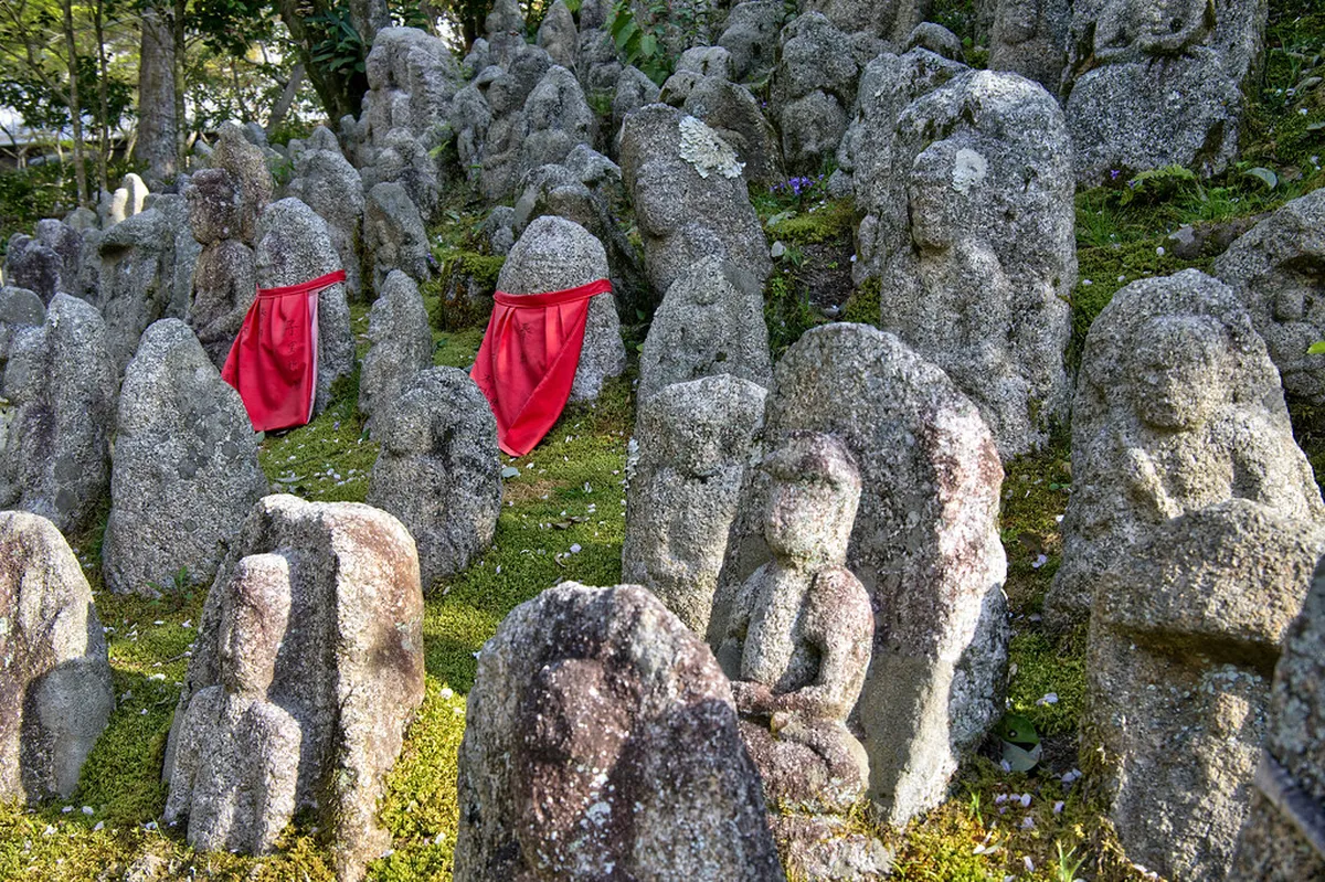 Kyoto Weather in February: What to Pack — a scene in Kyoto