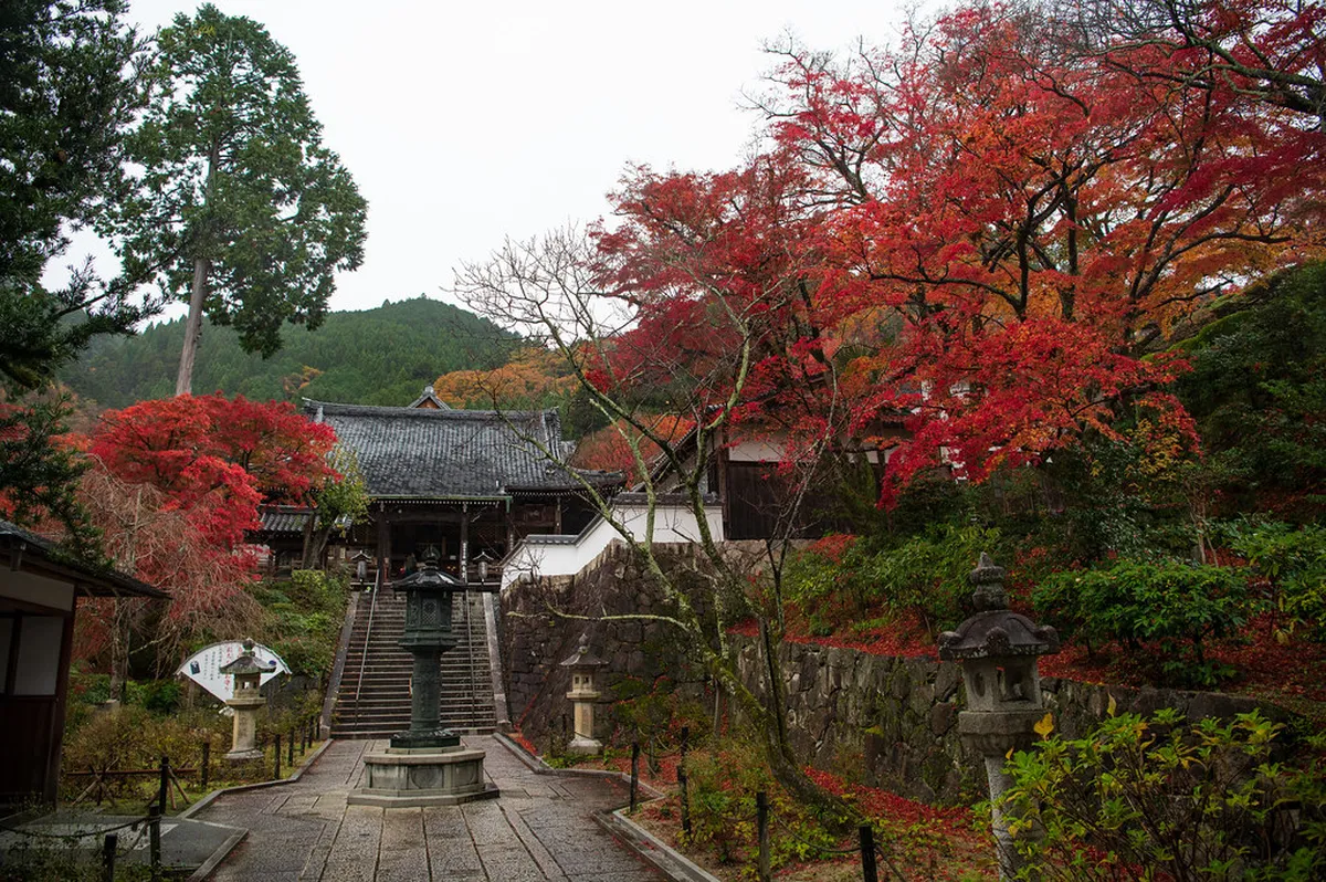 1. Visit Early Morning Temple Sanctuaries in Kyoto, Japan