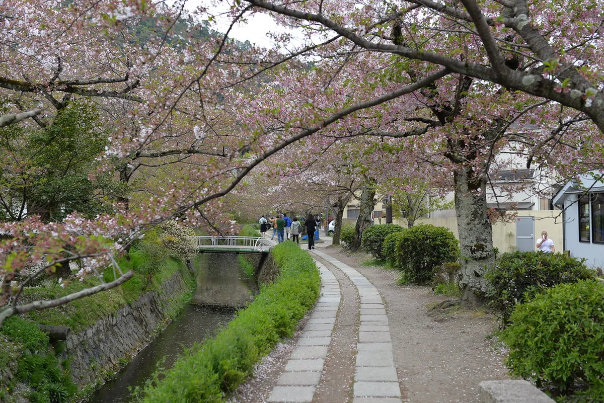 10 Best Kyoto Neighborhoods for Your 2026 Trip in Kyoto, Japan