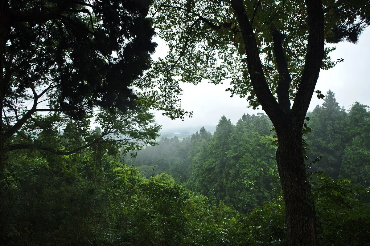 Hiraizumi's surroundings, Iwate Prefecture; August 2018 (13).jpg