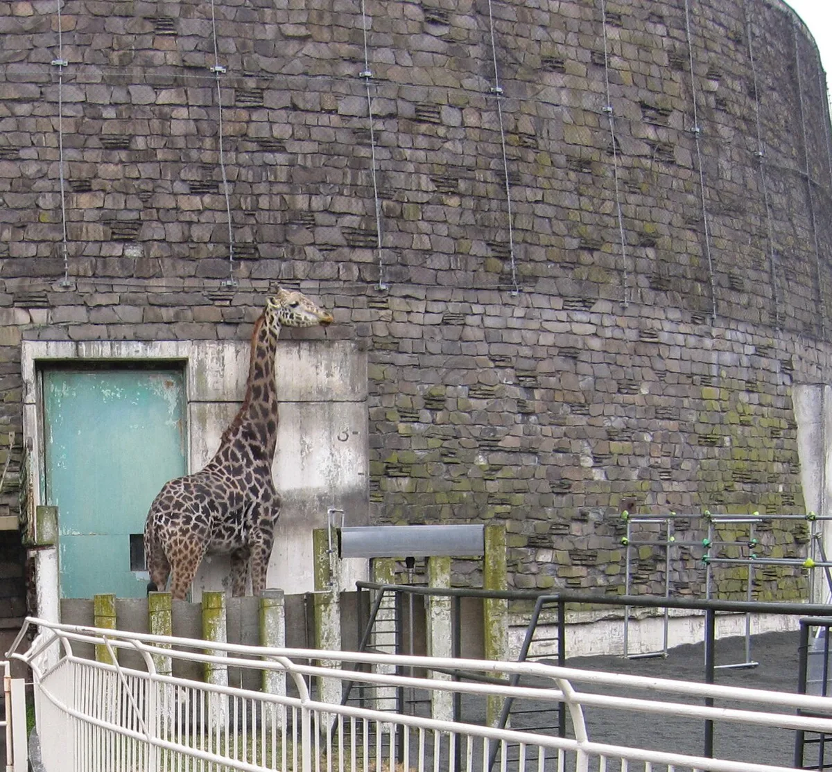 Sapporo Maruyama Zoo, Sapporo, Japan — 2