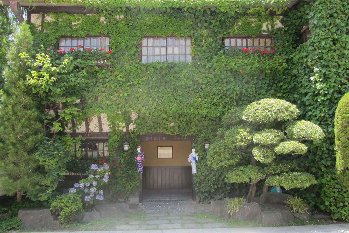 Toji Soba: The Seasonal Dipping Ritual in Matsumoto, Japan